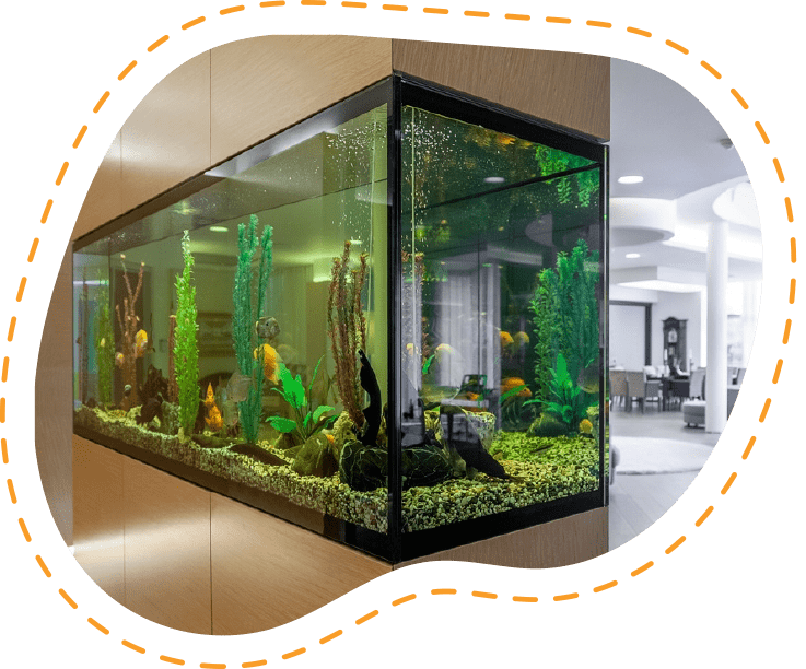 personalización de acuarios