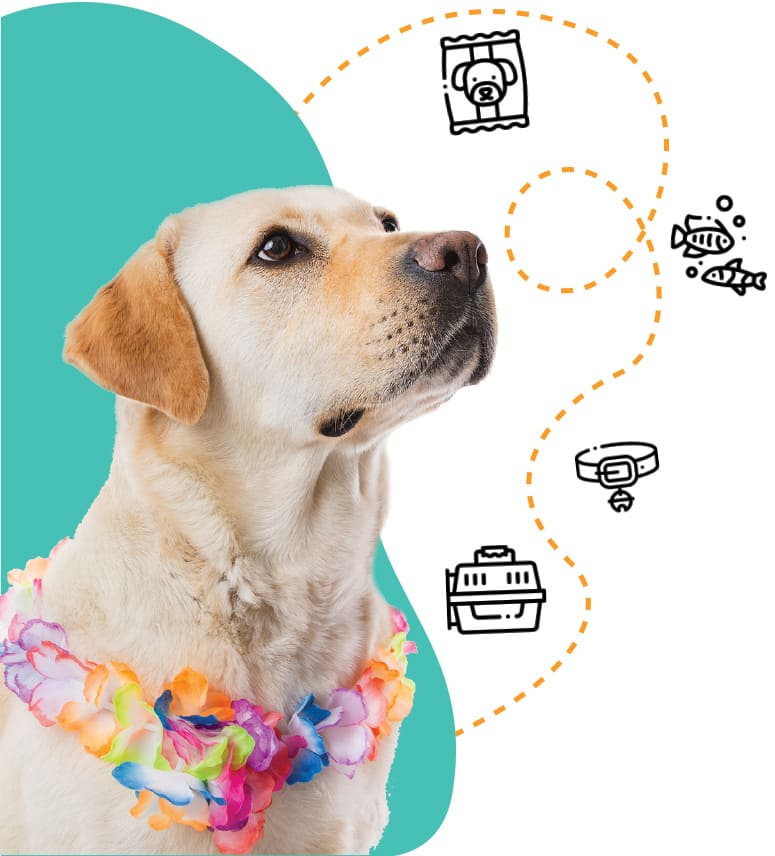 productos nuevos tienda de mascota