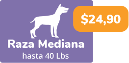 baño perro mediano