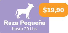 baño perro pequeño