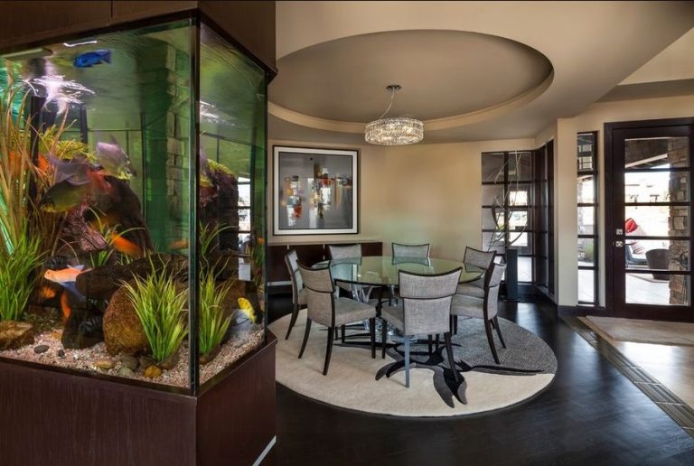 consejos sobre acuarios