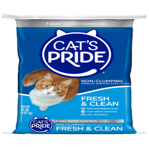 Cats Pride Arena de Gatos