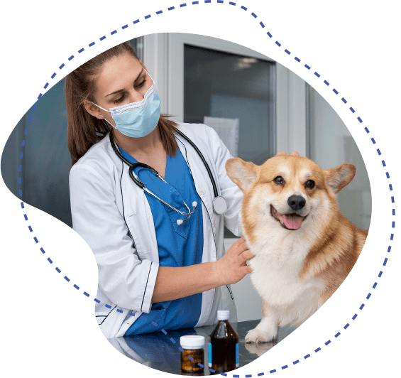 servicio de veterinaria